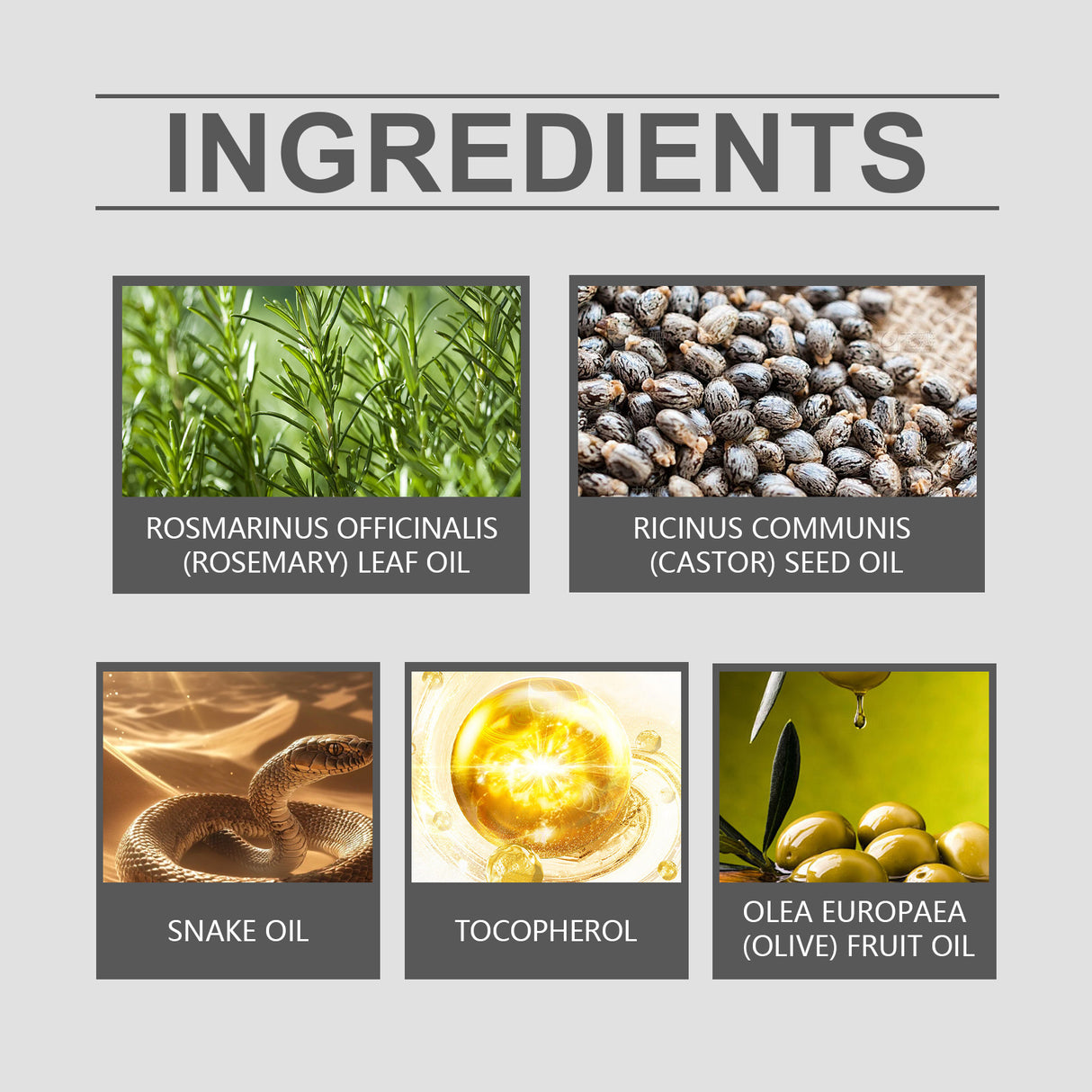 Hair Care Oil Rosemary Gentle Moisturizing Hair Care Soft Nourishing Hydrating Hair Care Essential Oil - V.I.P Digital Presence