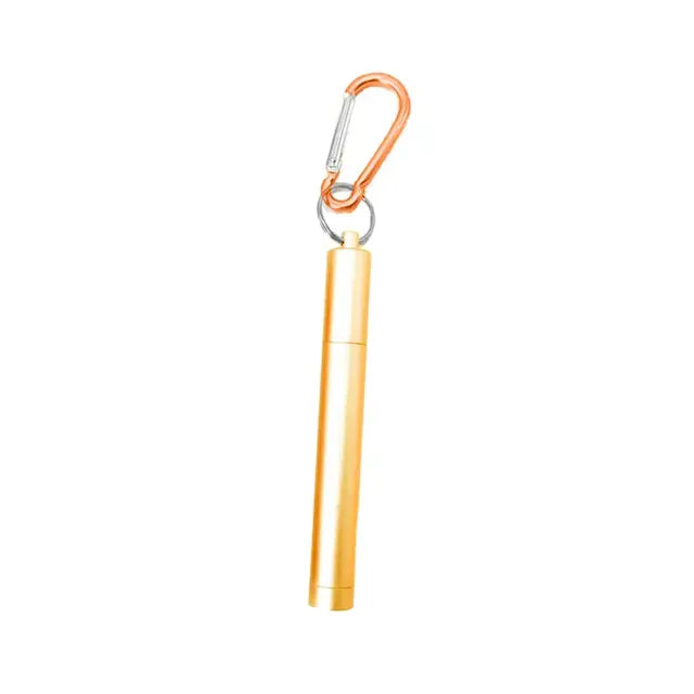 1 Set Reusable Telescopic Straw Set Portable Stainless Steel Easy To Clean Straw With Carry Case - V.I.P Digital Presence