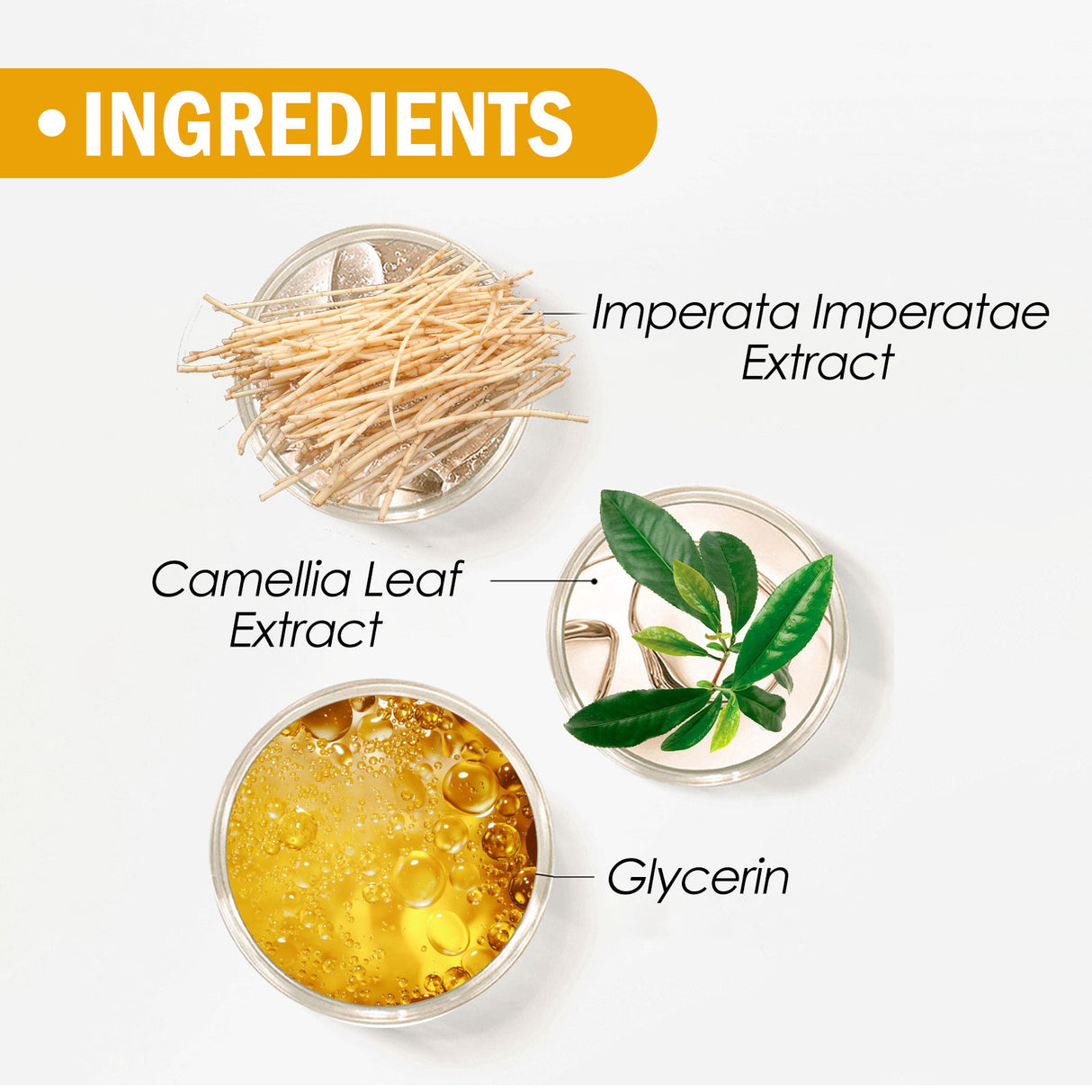 Setting Powder Natural Lightweight Breathable Makeup Oil Control Long-Lasting Makeup Waterproof And Sweat Resistant Setting Powder - V.I.P Digital Presence