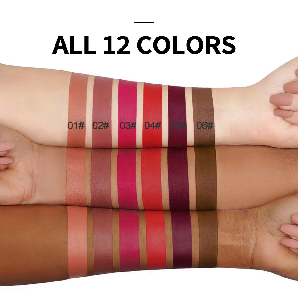 HANDAIYAN Popular Matte Matte Velvet 12 Colors Lip Gloss Liquid Lipstick Lip Glaze - V.I.P Digital Presence