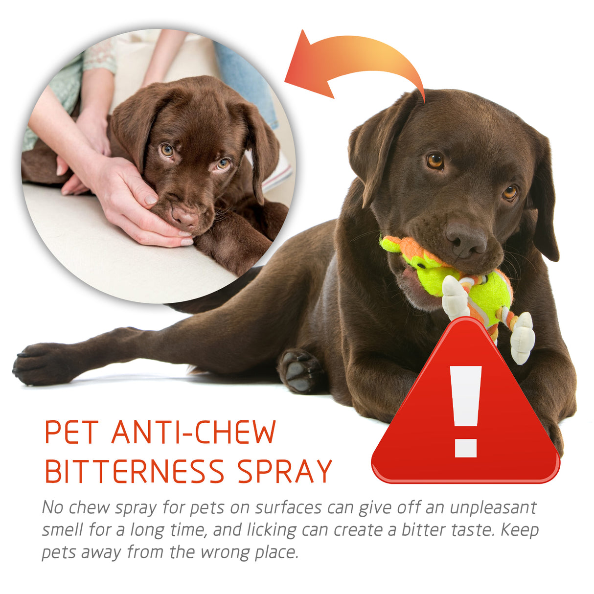 Pet Anti-Chew Spray Pet Behavior Modification Anti-Bite Scratching Spray For Cats And Dogs - V.I.P Digital Presence