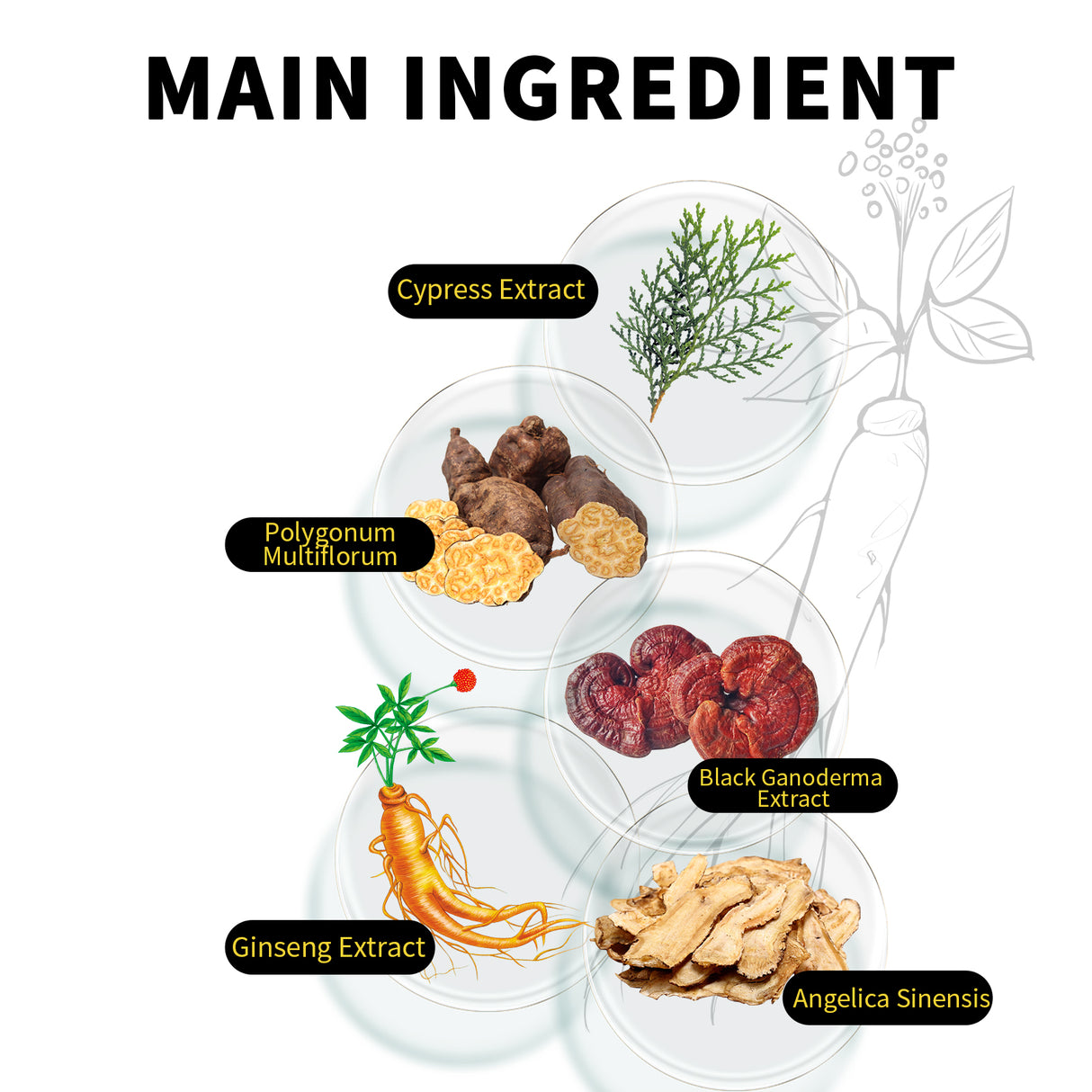 Black Hair Spray, Nourishes Black Hair And Covers White Hair Soft Natural Glossy Hair Spray - V.I.P Digital Presence