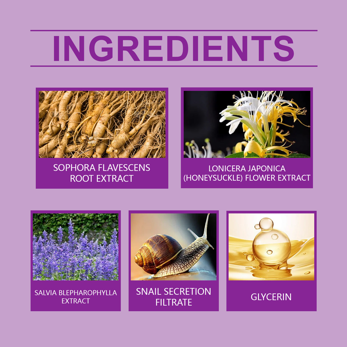 Firming Care Eye Cream Snail Brightening Eye Cream Firming Tender And Smooth Skin Around Eyes Eye Repair Cream