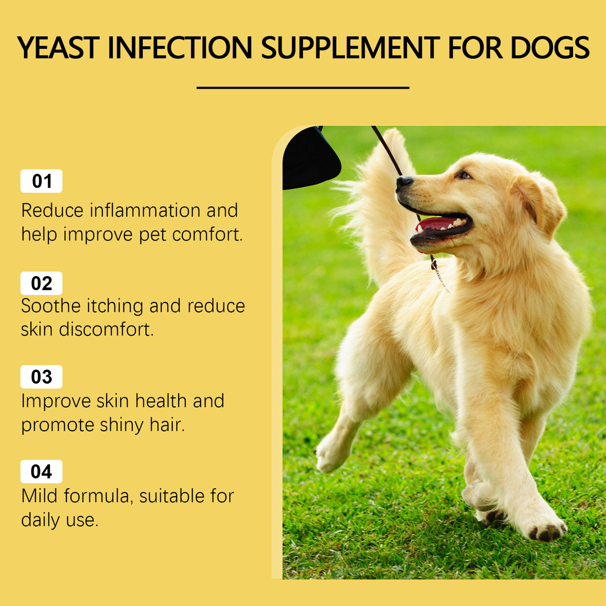 Pet Herbal Supplement Herbal Yeast Supplement For Soothing Pet External Skin Care - V.I.P Digital Presence