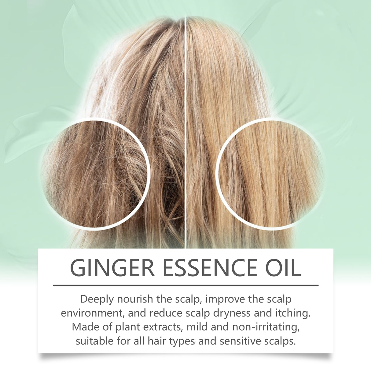 Ginger Hair Care Essential Oil Mild Ingredients Herbal Ginger Nourishes Hair Soft Beautiful Essential Oil - V.I.P Digital Presence