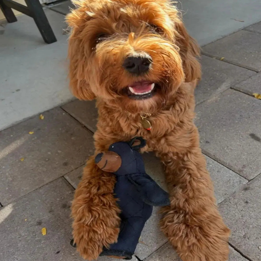 Mighty Bear Pet Soundmaking Toy Plush Interactive Dog Toy Grinding Cleaning Teeth Anti Bite Abreact Plaything Bear Pets Supplies - V.I.P Digital Presence