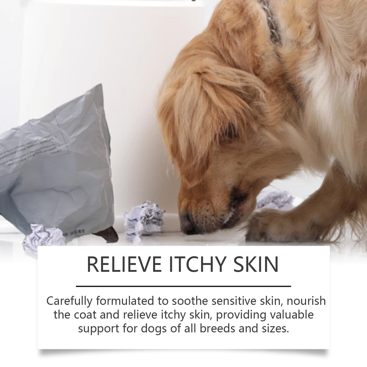 Dog Body Care Drops, Care And Relieve Pet Body Discomfort Nutritional Care Supplements - V.I.P Digital Presence