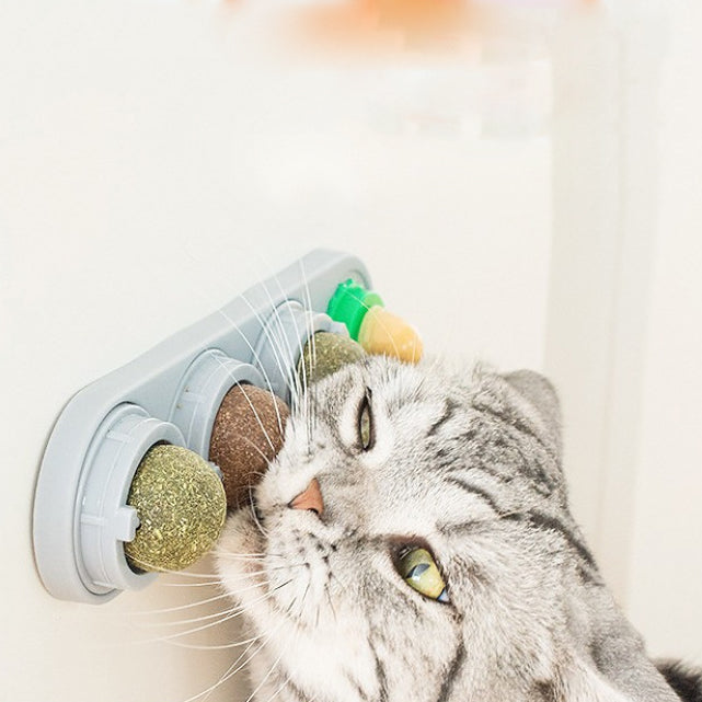 Cat mint ball spinning ball toy cat snacks lollipops self fun toys lots of fun - V.I.P Digital Presence