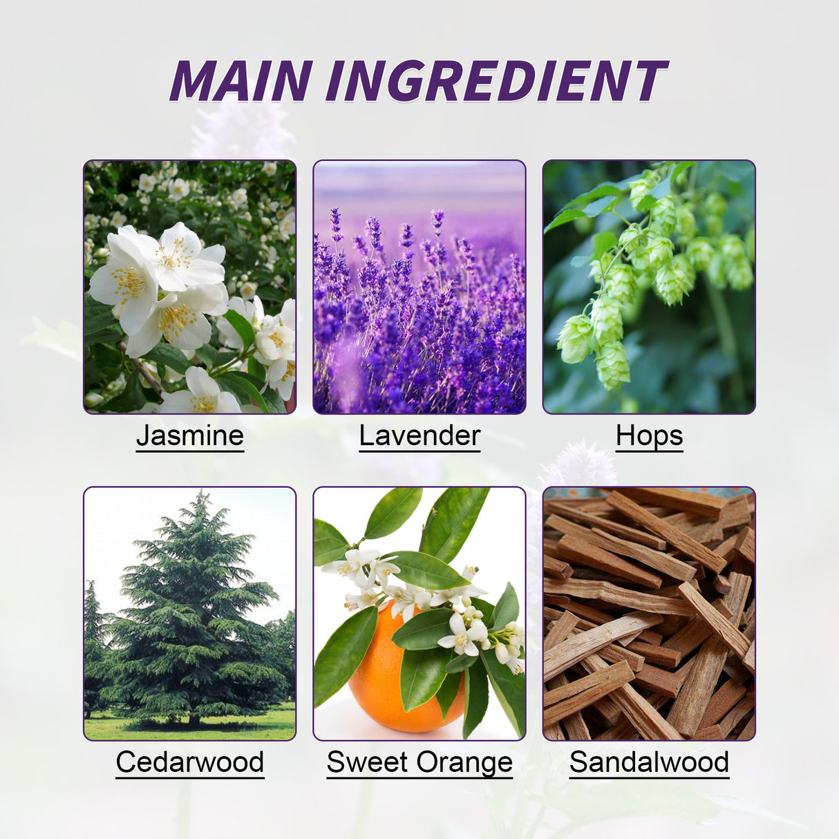 Herbal Sleep Patch, Care For Sleep, Relax And Relieve Body Pressure Body Health Care Point Patch - V.I.P Digital Presence