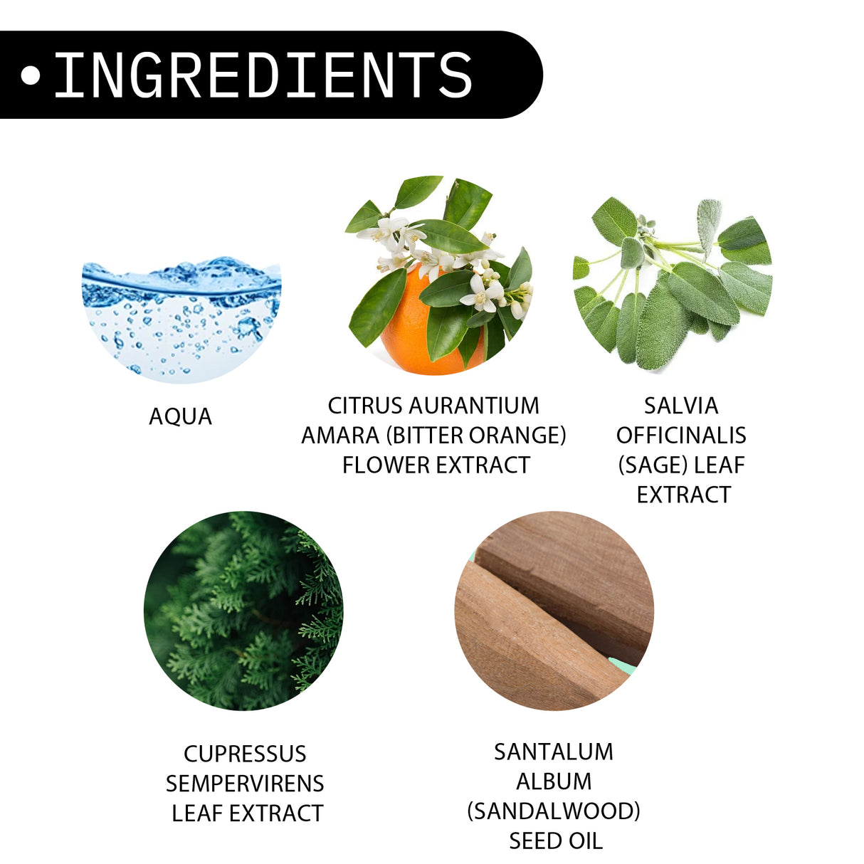 Men's Perfume, Body Fragrance Light Fragrance Natural Dating Atmosphere Lasting Fragrance Exudes Charm Niche Perfume - V.I.P Digital Presence