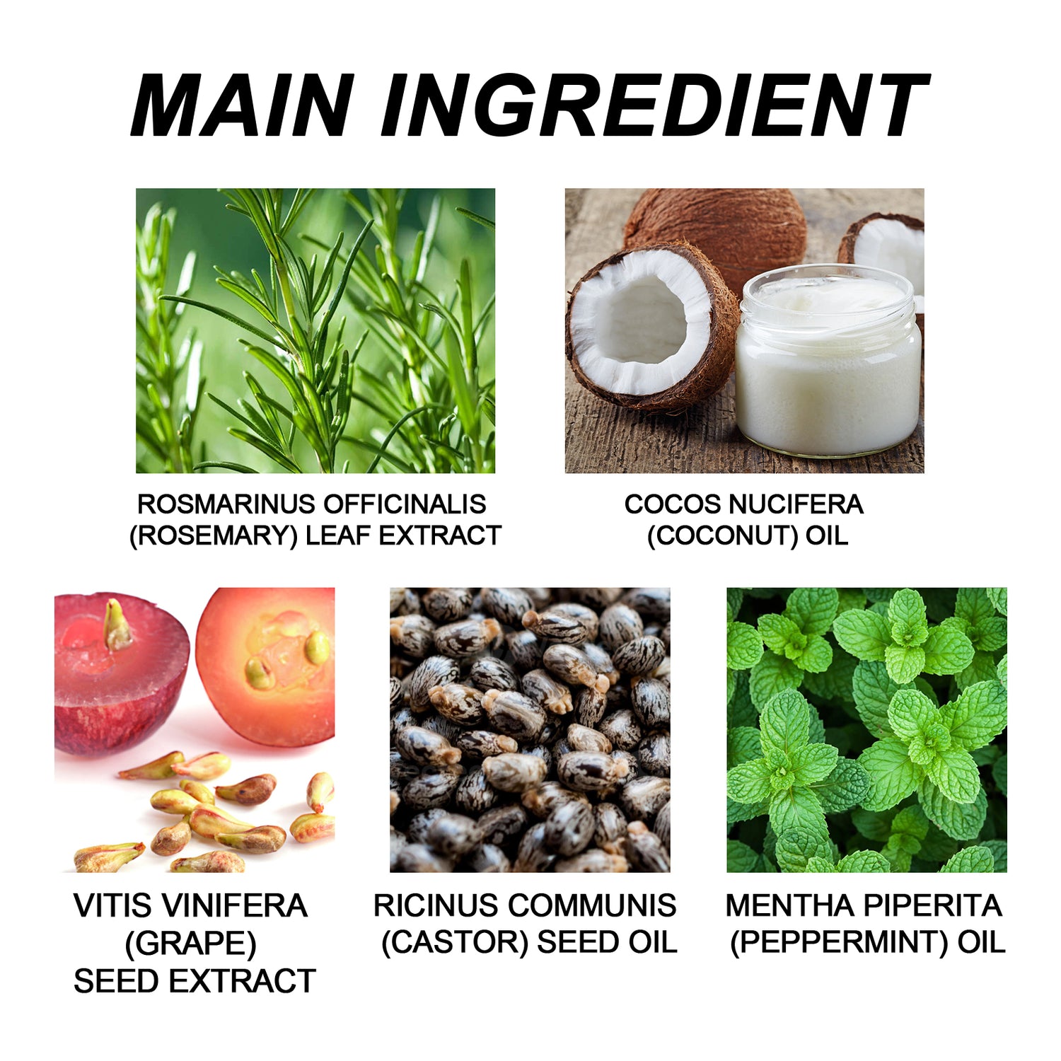 Rosemary Essential Oil, Repair Solid Hair Strong And Moisturizing Hair Roots Thick And Supple Hair Care Essential Oil - V.I.P Digital Presence