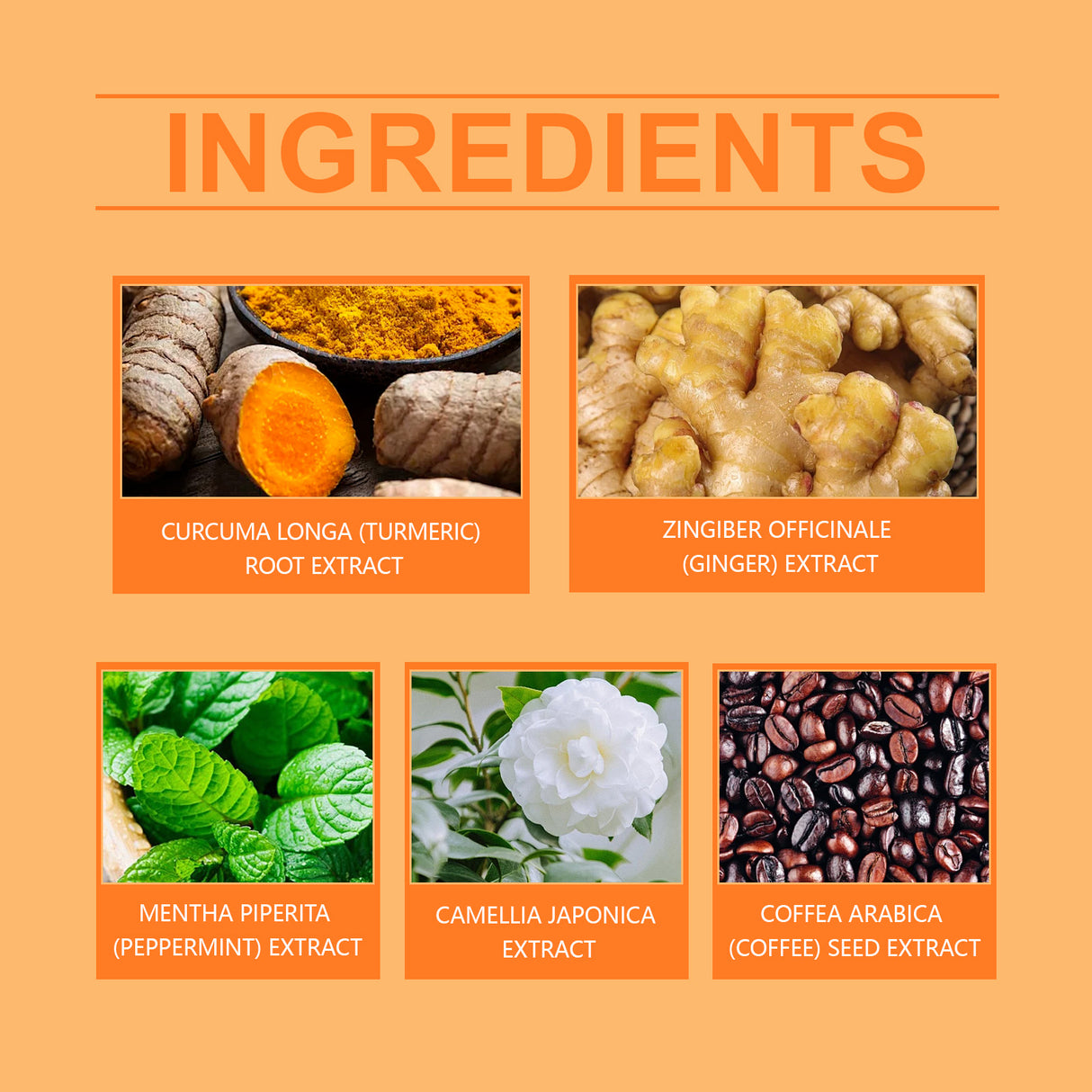 herbal beauty considerate, light nourishing skin show natural line body care patch - V.I.P Digital Presence