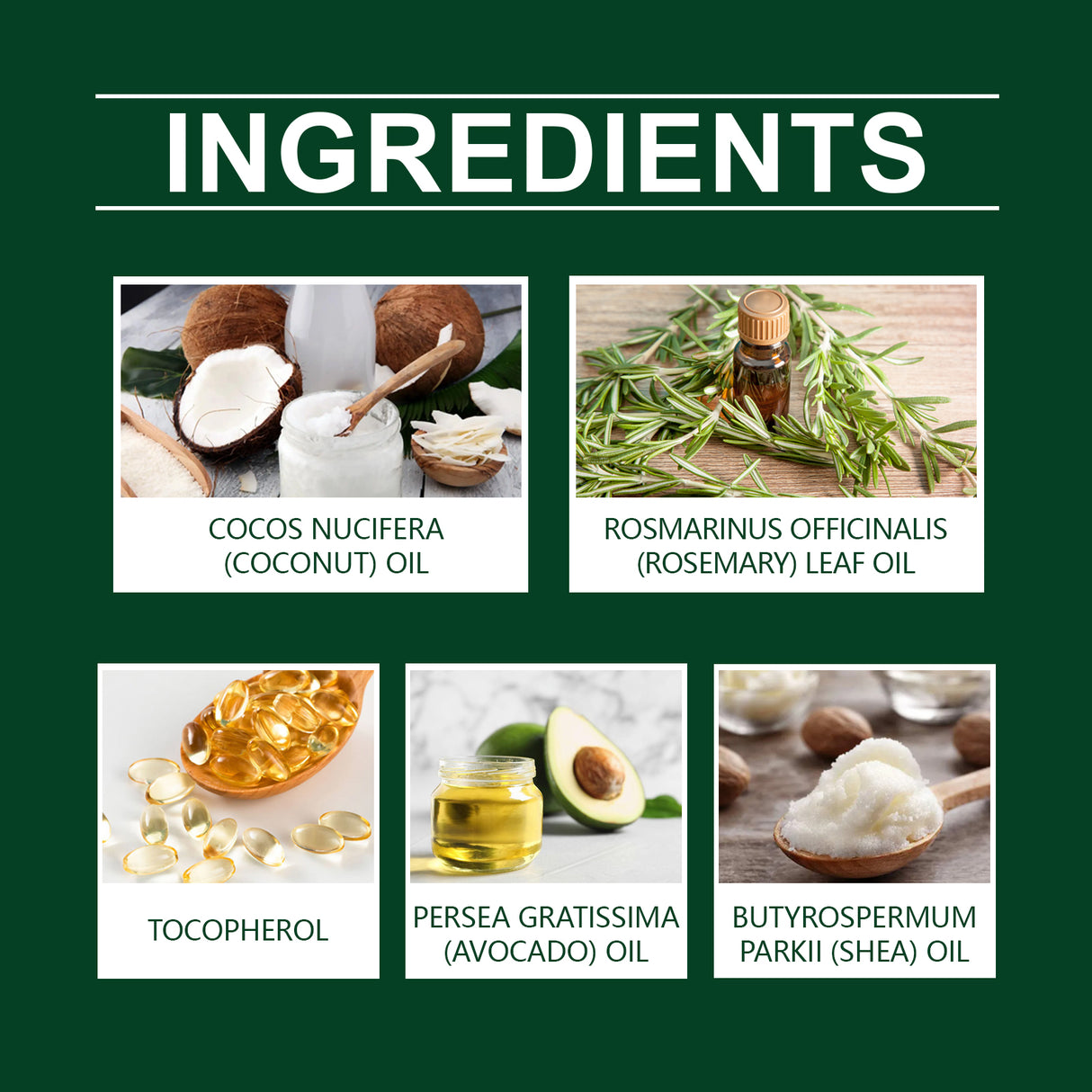 Rosemary Coconut Hair Oil Nourishes, Moisturizes, Leaves Fragrance, Pamper Hair, And Softens Hair Essence - V.I.P Digital Presence