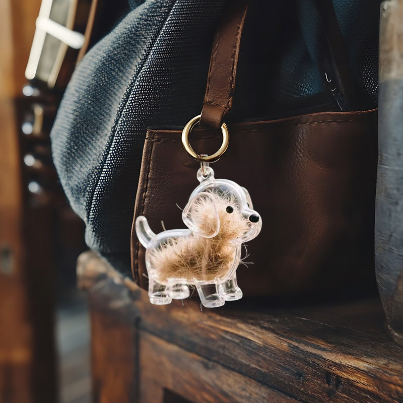 A transparent DIY pet hair memorial keychain box, a sweet keepsake for dog lovers. - V.I.P Digital Presence