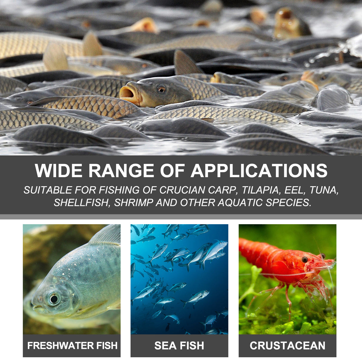 Bait Attractant, Reservoir Bait Fishing Bait Fish Portable Fish Primer - V.I.P Digital Presence