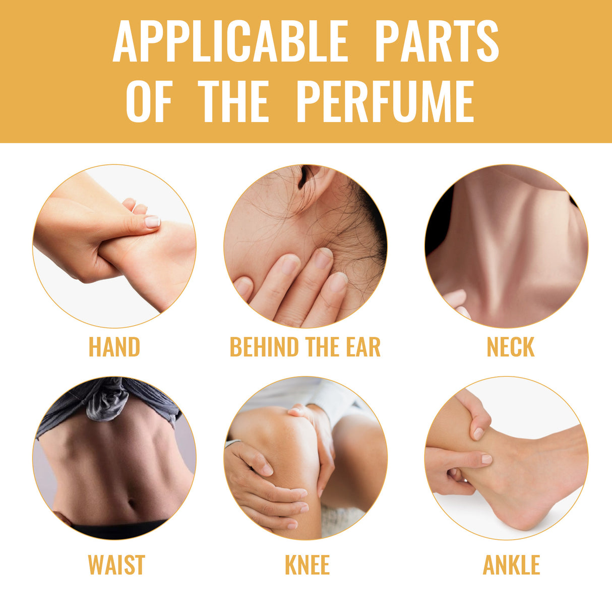 Lady Arabian Perfume Ball Wrist Behind Ear Unique Fragrance Fresh Charming Lasting Fragrance Release Charm - V.I.P Digital Presence