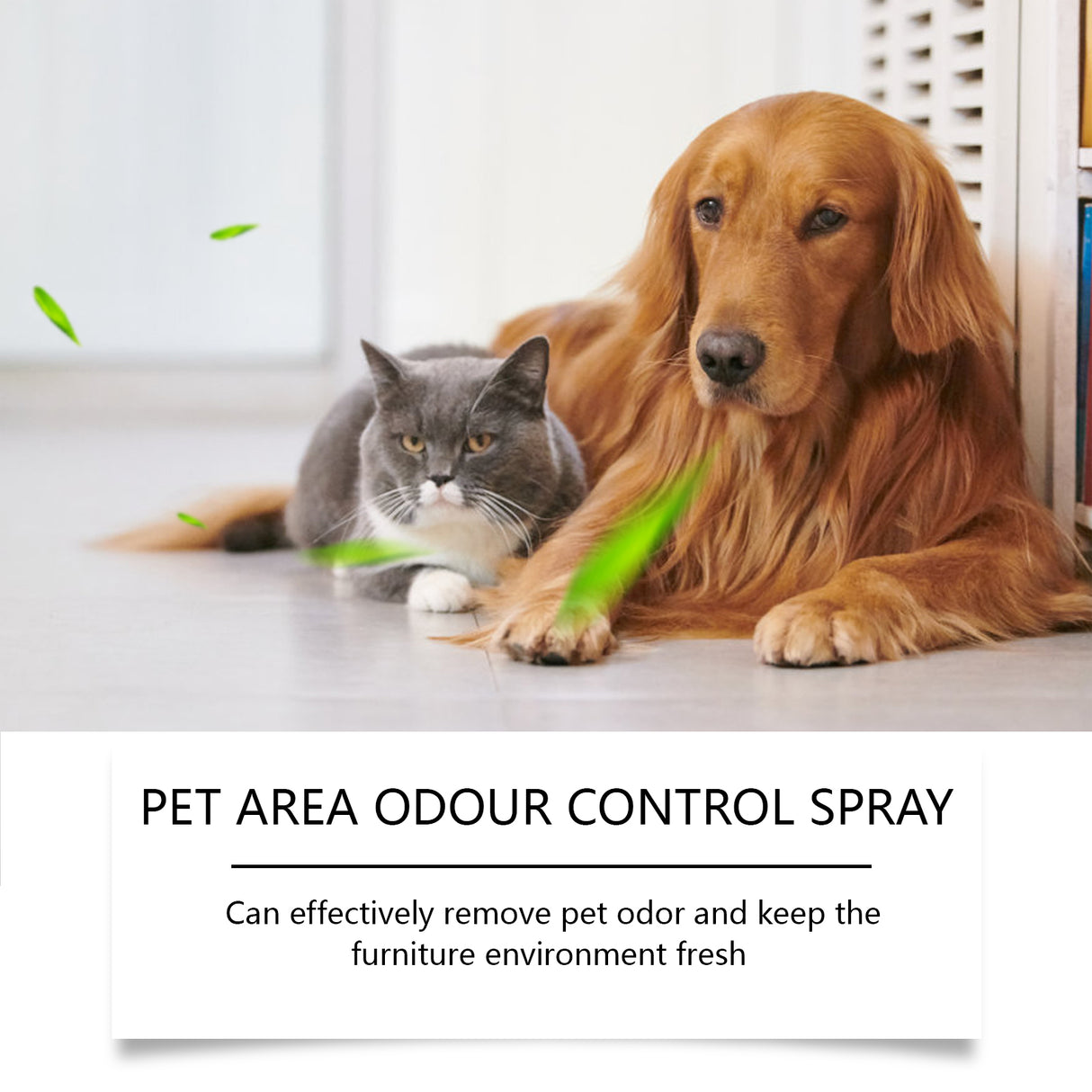 Pet Odor Spray, Indoor Pet Area Odor Cleaning And Fragrance Lasting Guardian Refreshing Spray - V.I.P Digital Presence