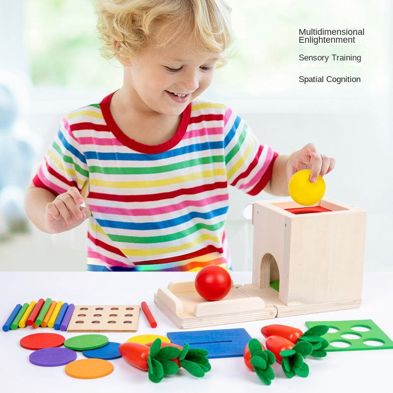 Montessori Four in One Coin Box Multi functional Stick Pulling Carrot Preschool Building Blocks Color Matching Intelligence Box Toy - V.I.P Digital Presence