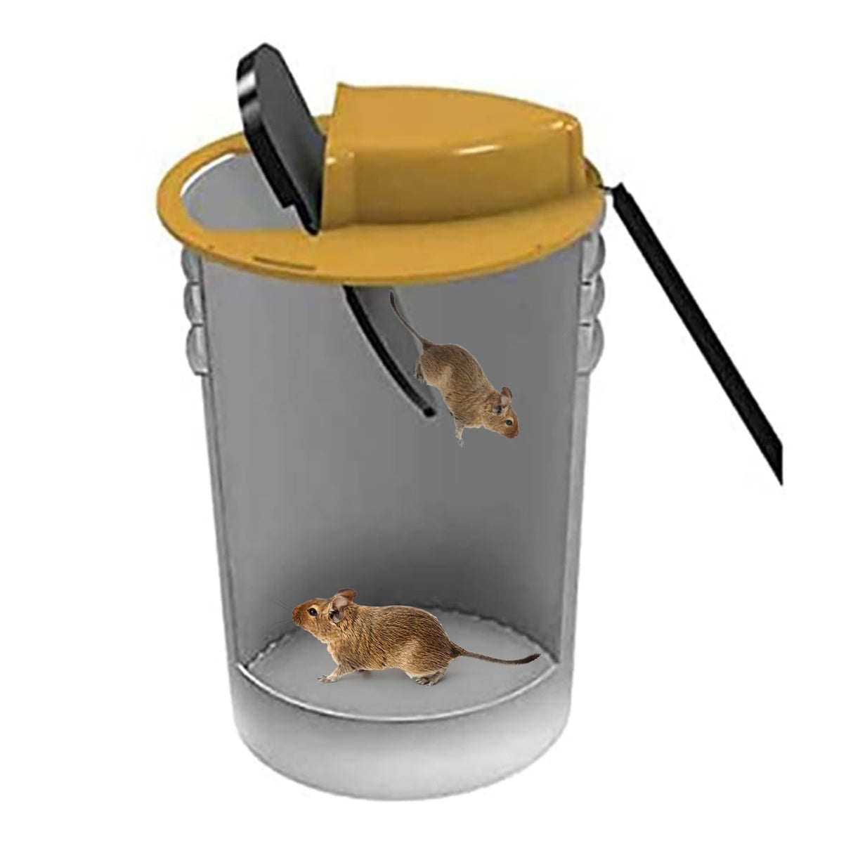 Mice Mouse Trap Bucket Flip Lid,Mouse Trap Bucket Indoor Outdoor,Humane Mouse Trap,Mouse Trap Bucket Lid Auto Reset