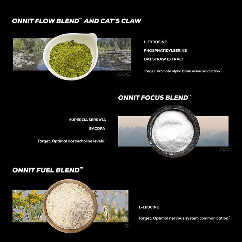 Intelligence Capsule Brain Capsule - V.I.P Digital Presence