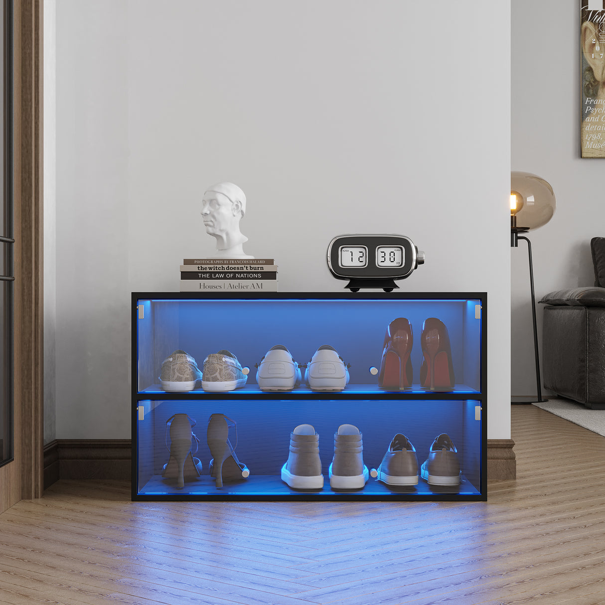 Black Glass Door Shoe Box Shoe Storage Cabinet With RGB Led Light - V.I.P Digital Presence