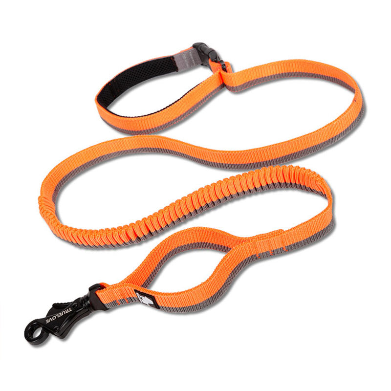 Pet dog leash with elastic cushioning suitable for outdoor activities such as running and waist tying - V.I.P Digital Presence
