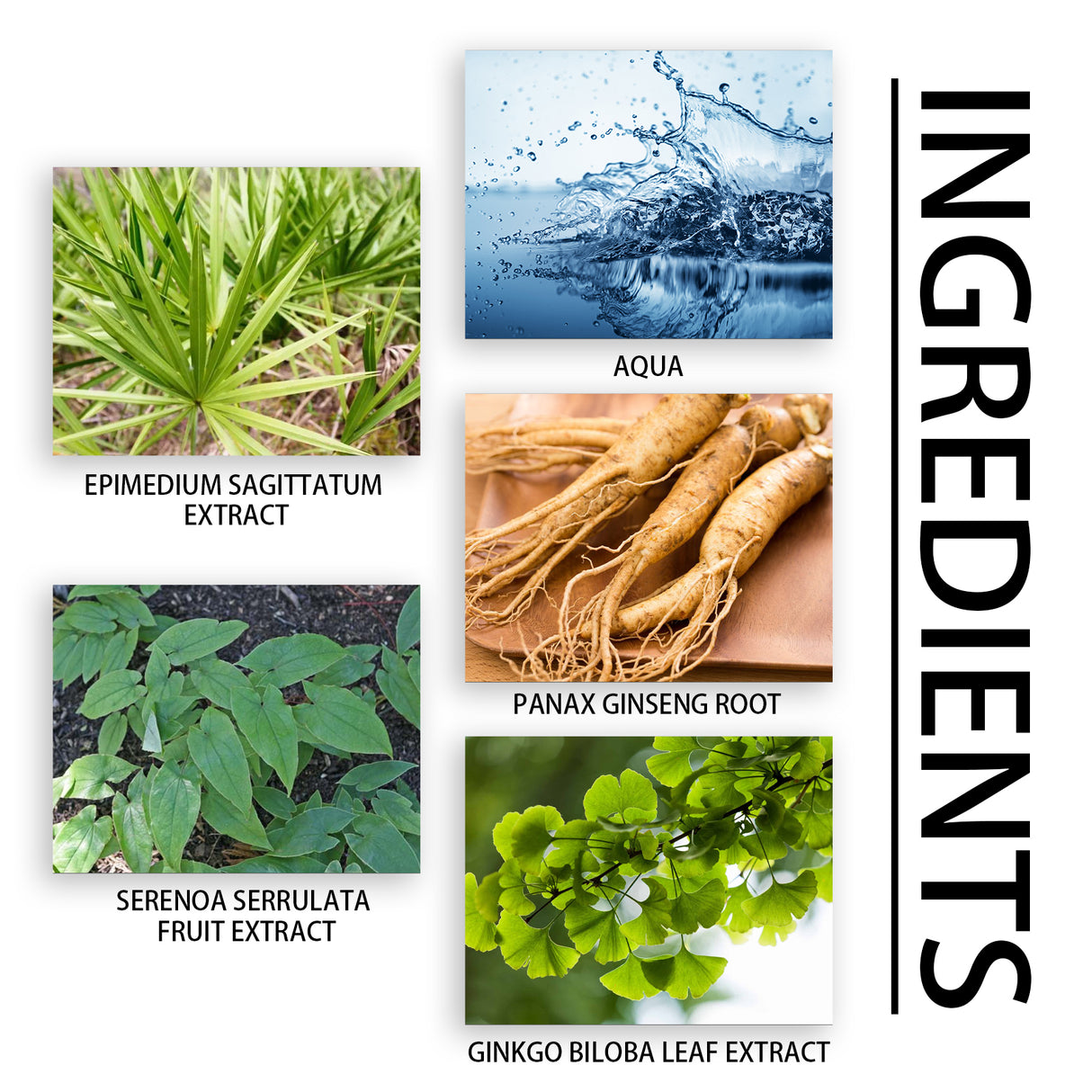 Men's Body Care Drops To Build Endurance And Toning For Men - V.I.P Digital Presence