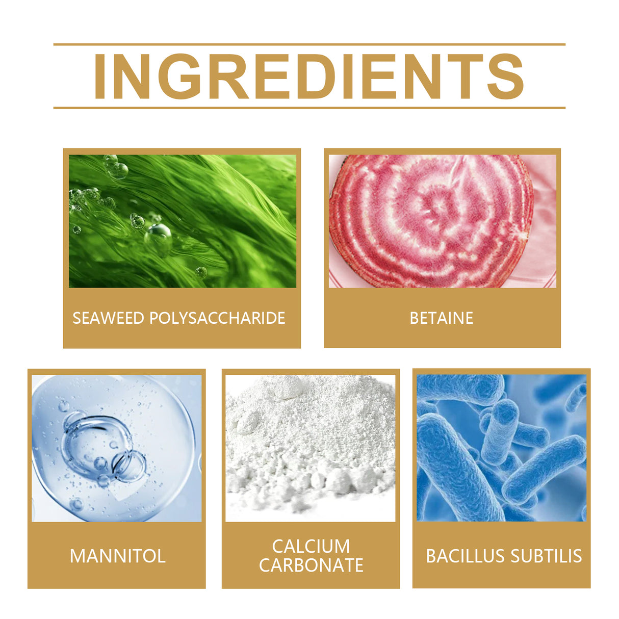 Moonspry Plant Root Powder, Garden Flower Plant Root Supplement Nutrition To Improve Soil Plant Nutrition Powder - V.I.P Digital Presence