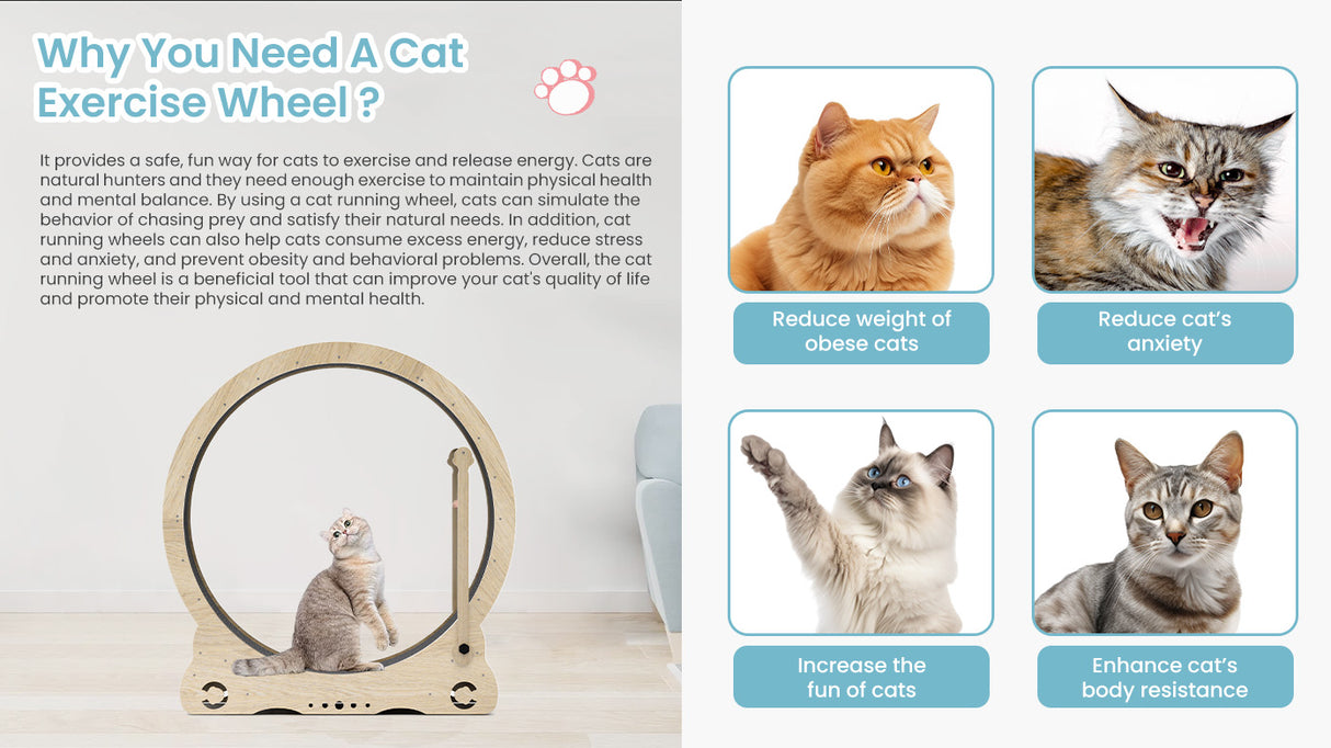 Indoor cat treadmill with carpet, tear device and latch natural wood, 39.4 inches long x 13.2 inches wide x 41.3 inches high - V.I.P Digital Presence