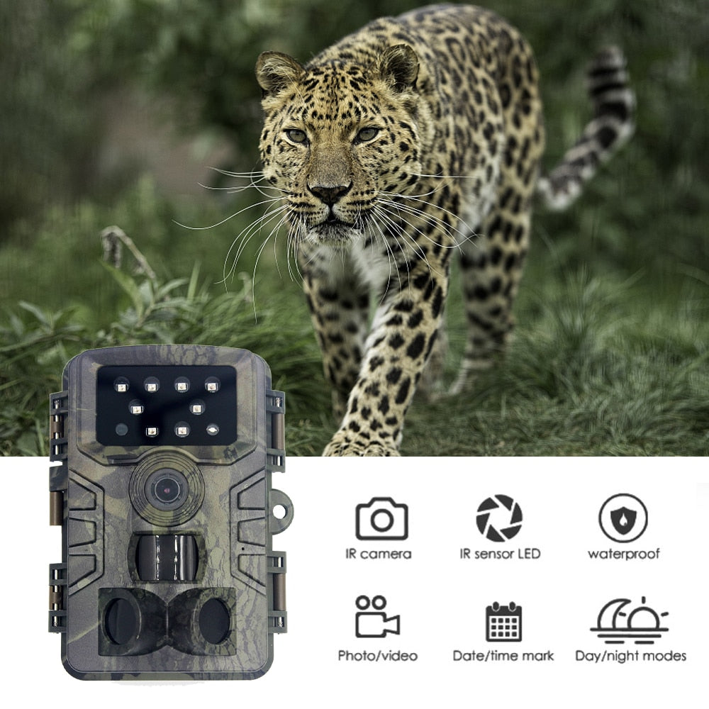 Trail Camera 20MP 1080P Waterproof PIR Infrared Hunting Camera With Night Vision Wildlife Cam Surveillance Tracking Camera PR700 - V.I.P Digital Presence