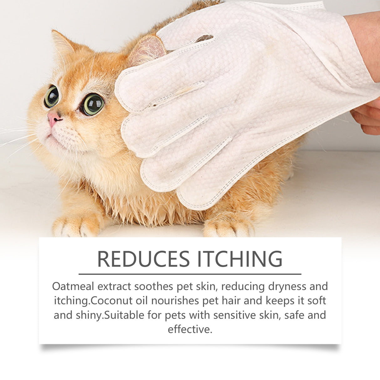 Pet Disposable Cleaning Gloves Dog Cat Hair And Skin Gentle Cleaning Care Gloves - V.I.P Digital Presence