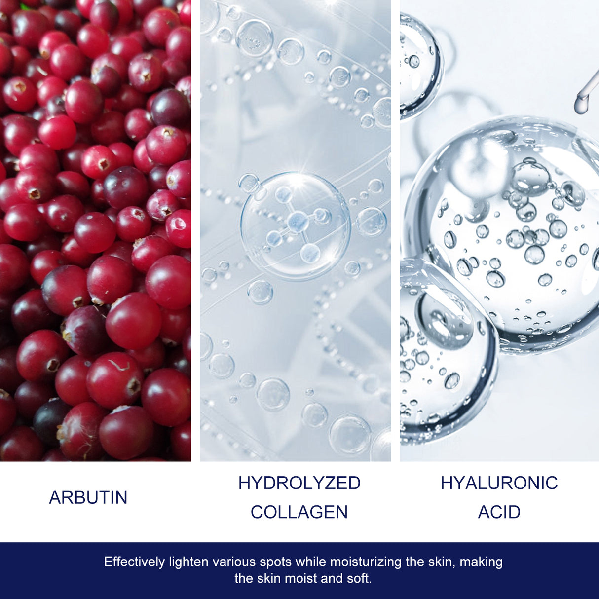 Skin Genesis Spot Whitening Cream, Filling Water To Moisten Soft Delicate Chun White Brighten The Melanin Of Skin Cream - V.I.P Digital Presence