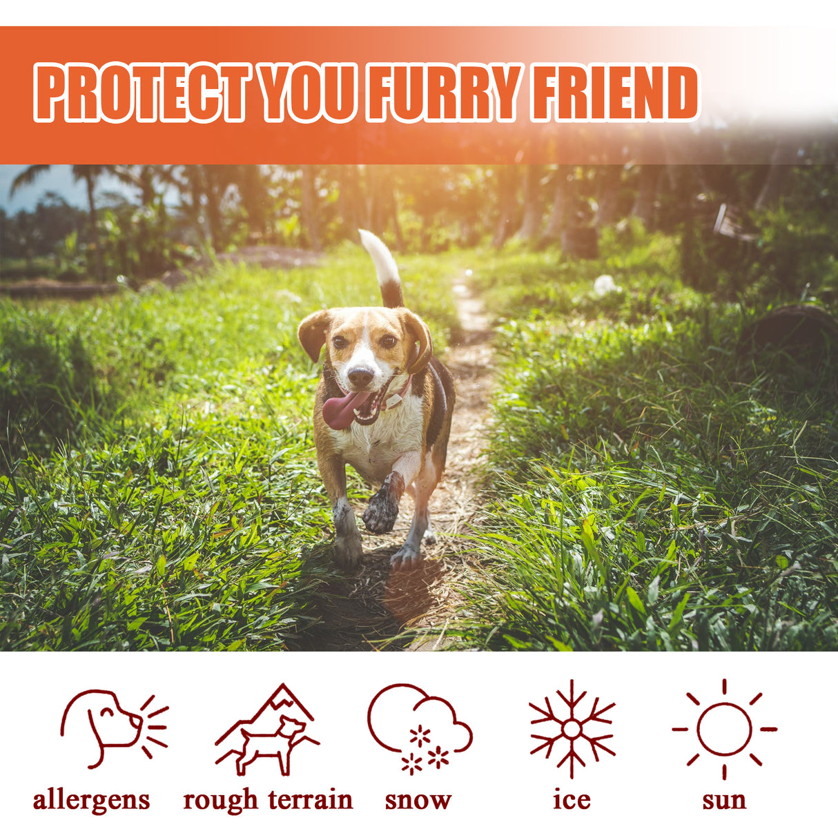 Pet Paw Balm For Cats And Dogs Foot Pad Protective Oil Soothes And Moisturizes And Cures Dry And Cracked Feet - V.I.P Digital Presence