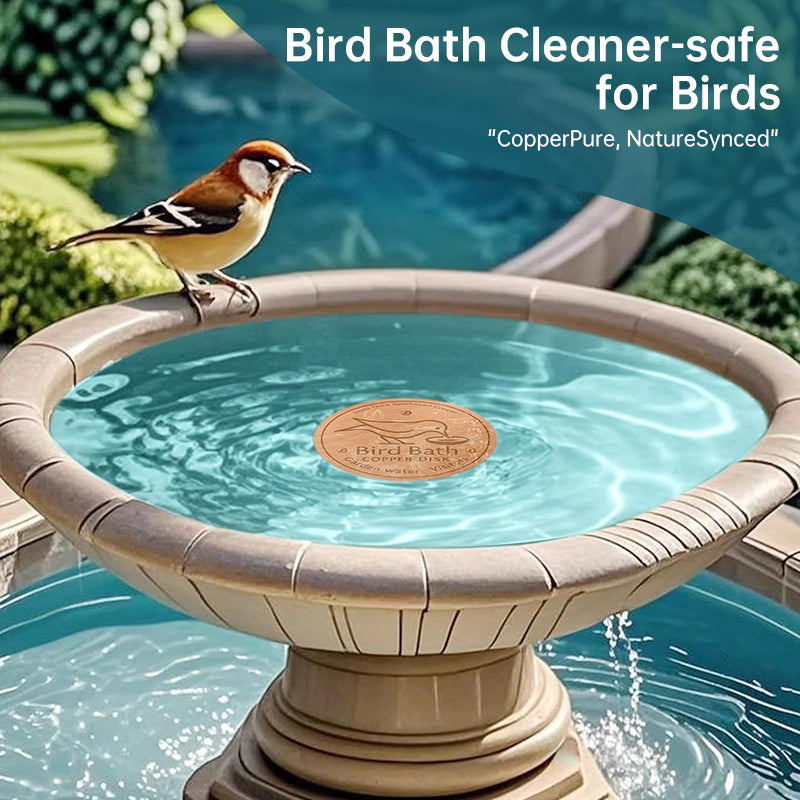 Universal Bird Bath Copper Tray with 3-point Support Purification Plate – for Outdoor Bird Baths & Feeding Bowls - V.I.P Digital Presence