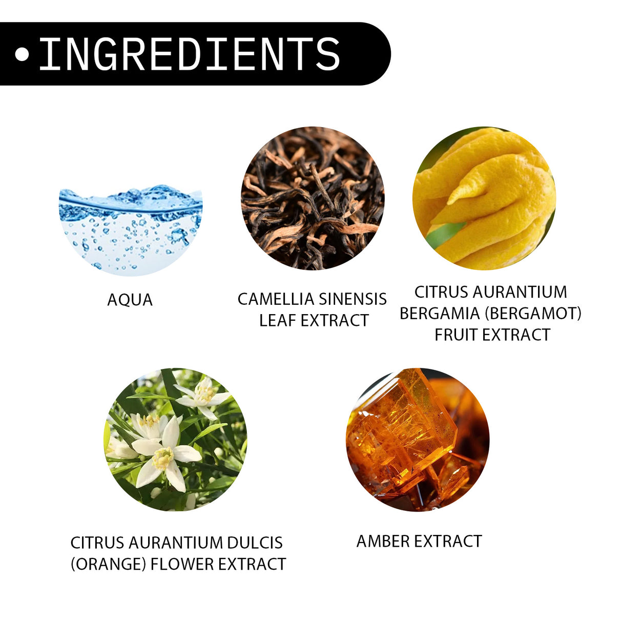 Magnet Pheromone, Lasting Fragrance Elegant Natural Fragrance Not Pungent Men's Charm Dating Perfume - V.I.P Digital Presence