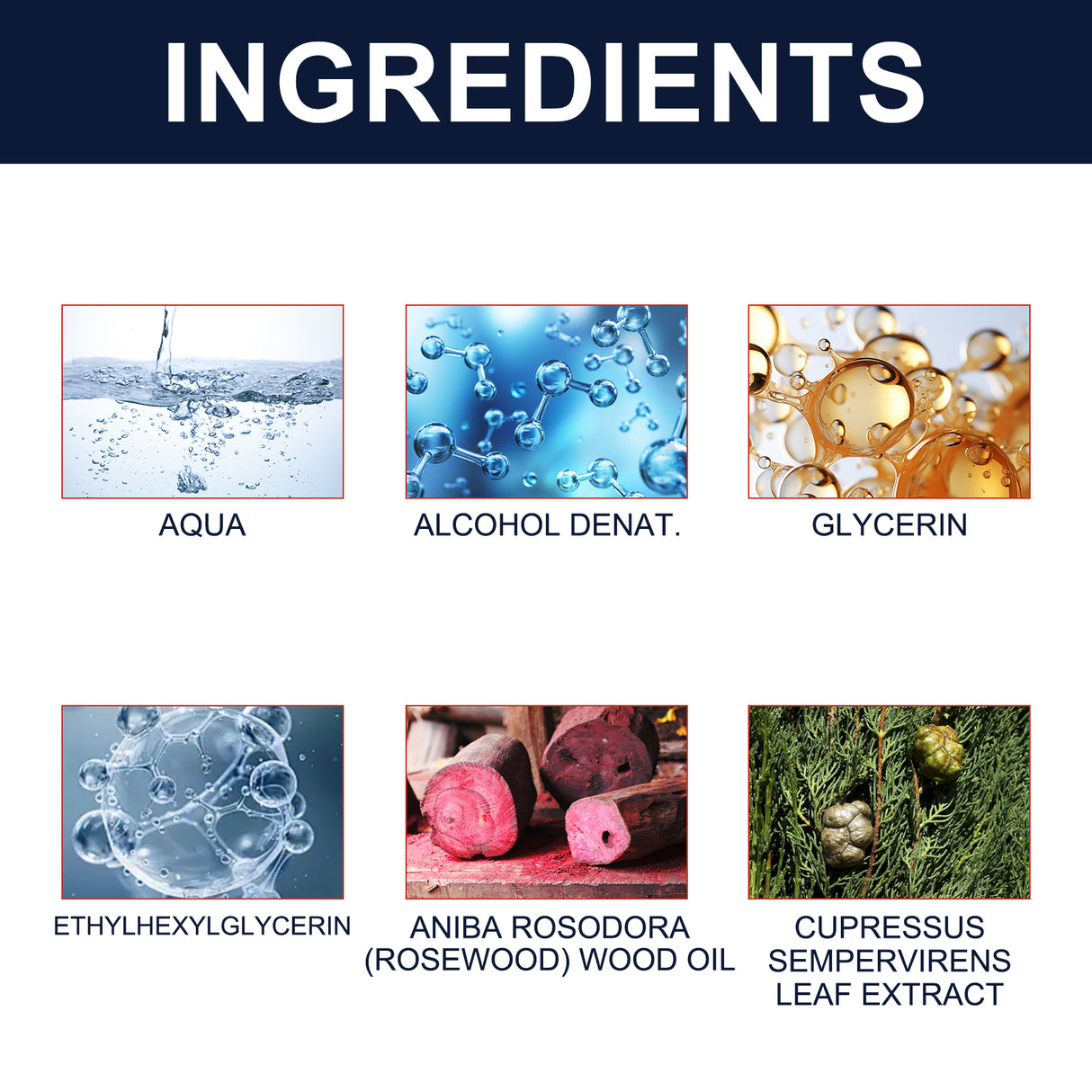 Men's Cologne Fresh Natural Elegant Lasting Fragrance Gentleman Dating Atmosphere Perfume - V.I.P Digital Presence