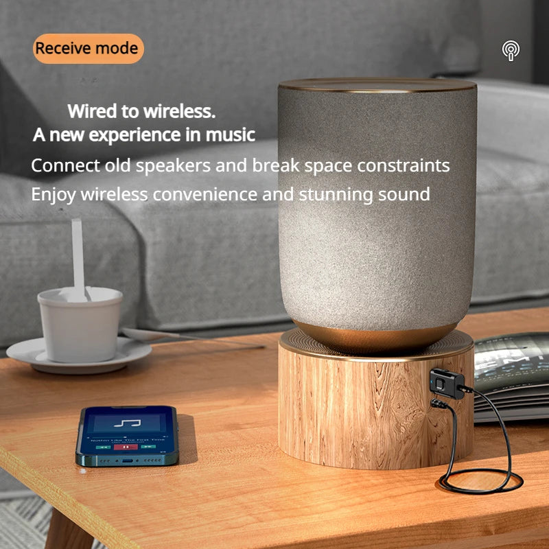 Car mounted Bluetooth receiver, audio dedicated wireless TV amplifier, Bluetooth transmitter, audio computer 2-in-1 - V.I.P Digital Presence