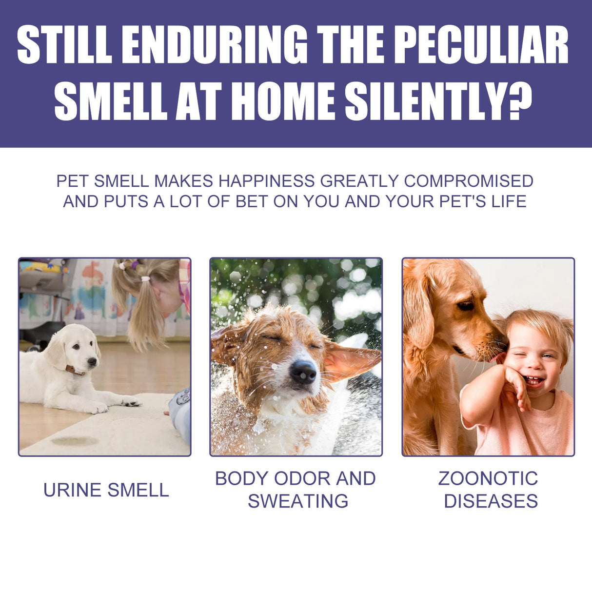 Pet Deodorant Spray for Cats and Dogs - Eliminates Odors, Urine Smell, Body Odor, and Feces Odor, Air Freshener Mist - V.I.P Digital Presence