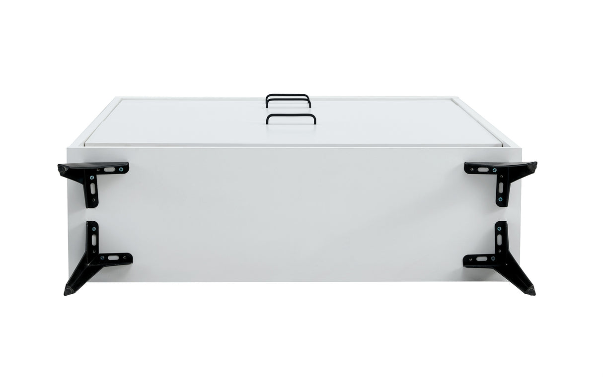 Shoe Cabinet , Shoe storage shelves, metal leg, White - V.I.P Digital Presence