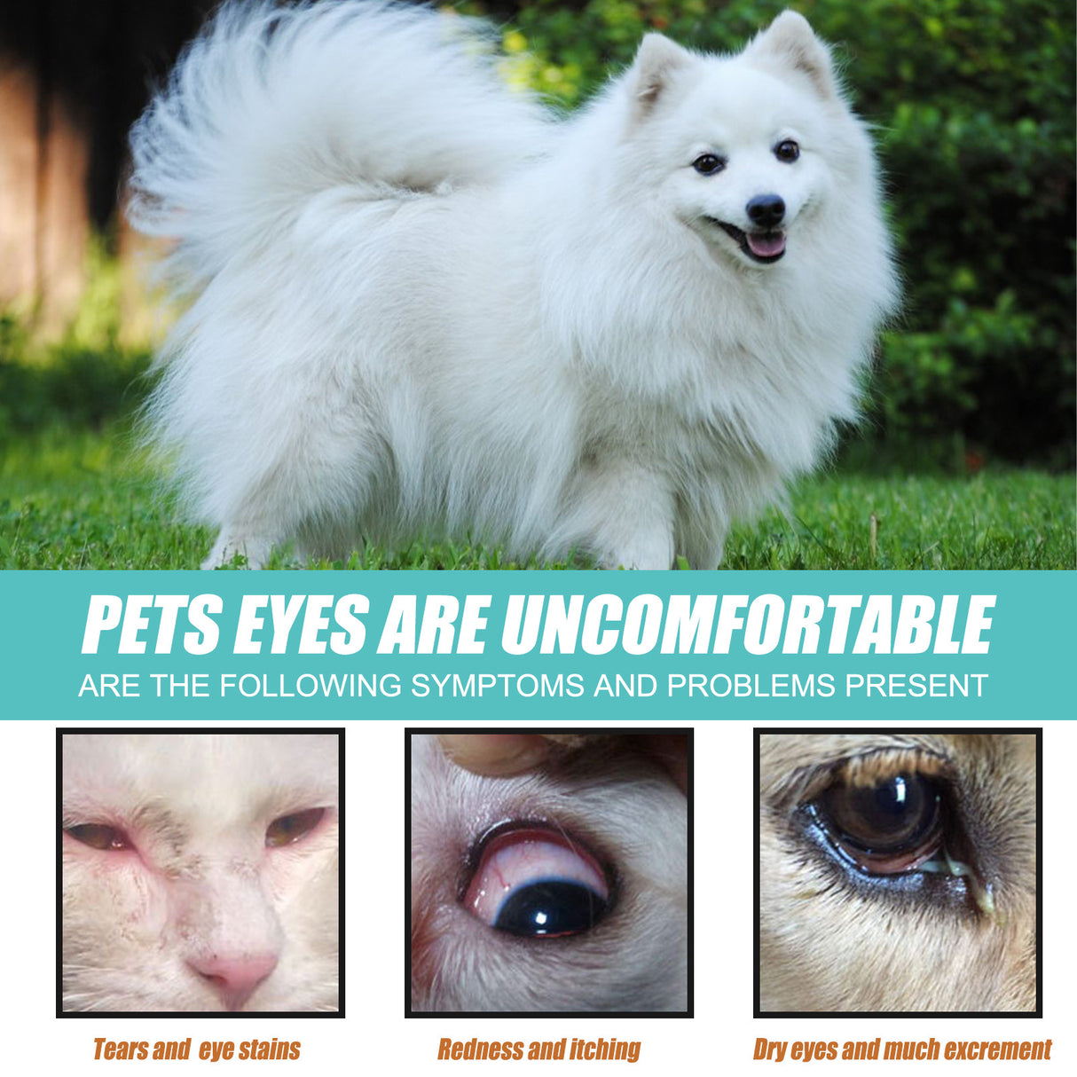 Tear Duct Serum For Dogs, Cats And Dogs Removal Eye Poop Pet Topical Eye Tear Stain Serum - V.I.P Digital Presence