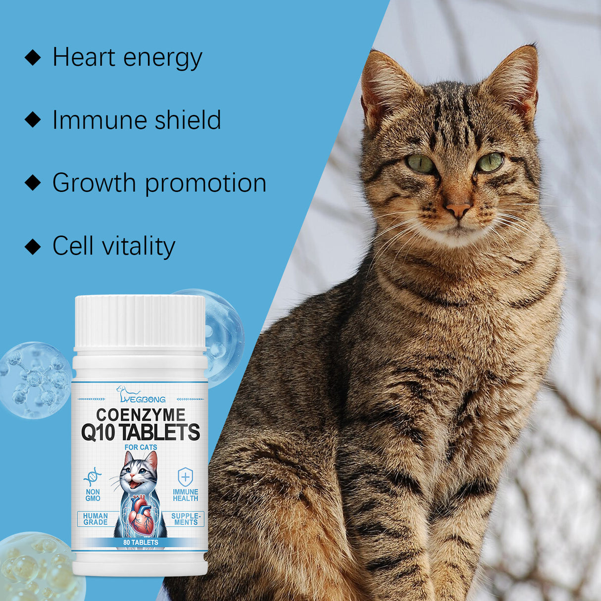 Cats Protect Health And Vitality With Coenzyme Tablets Coenzyme Q10 For Cats To Absorb Nutritional Supplements - V.I.P Digital Presence