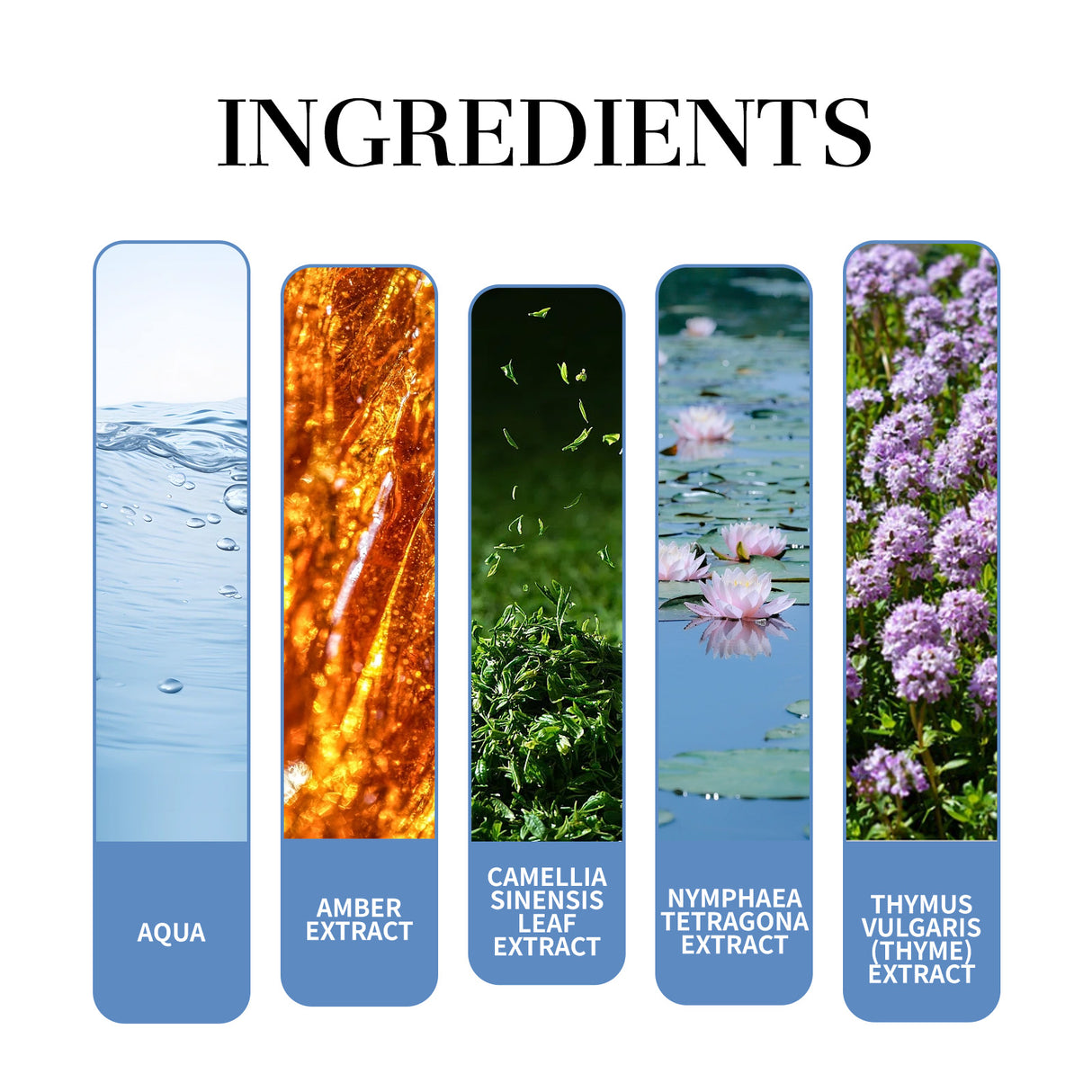 Magnet Charming Men Perfume, Tea Fragrance Natural Fresh Fragrance Release Charm Couple Dating Men Atmosphere Niche Perfume - V.I.P Digital Presence