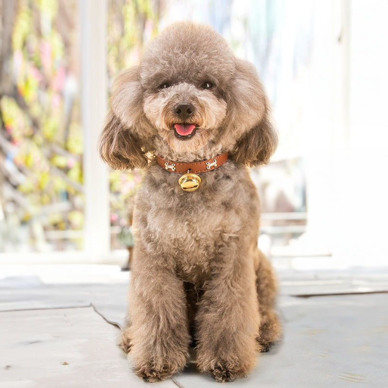 Claw Print Bone Alloy Bells for Pet Collars - Supplies for Dogs & Cats - V.I.P Digital Presence