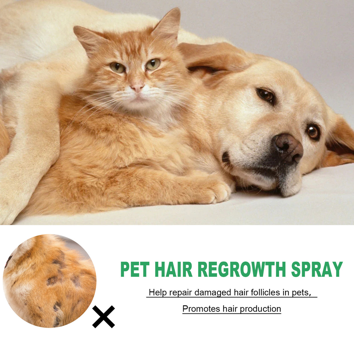 Pet Hair Growth Spray for Cats and Dogs - Hair Care Treatment for Damaged Follicles and Hair Loss - V.I.P Digital Presence