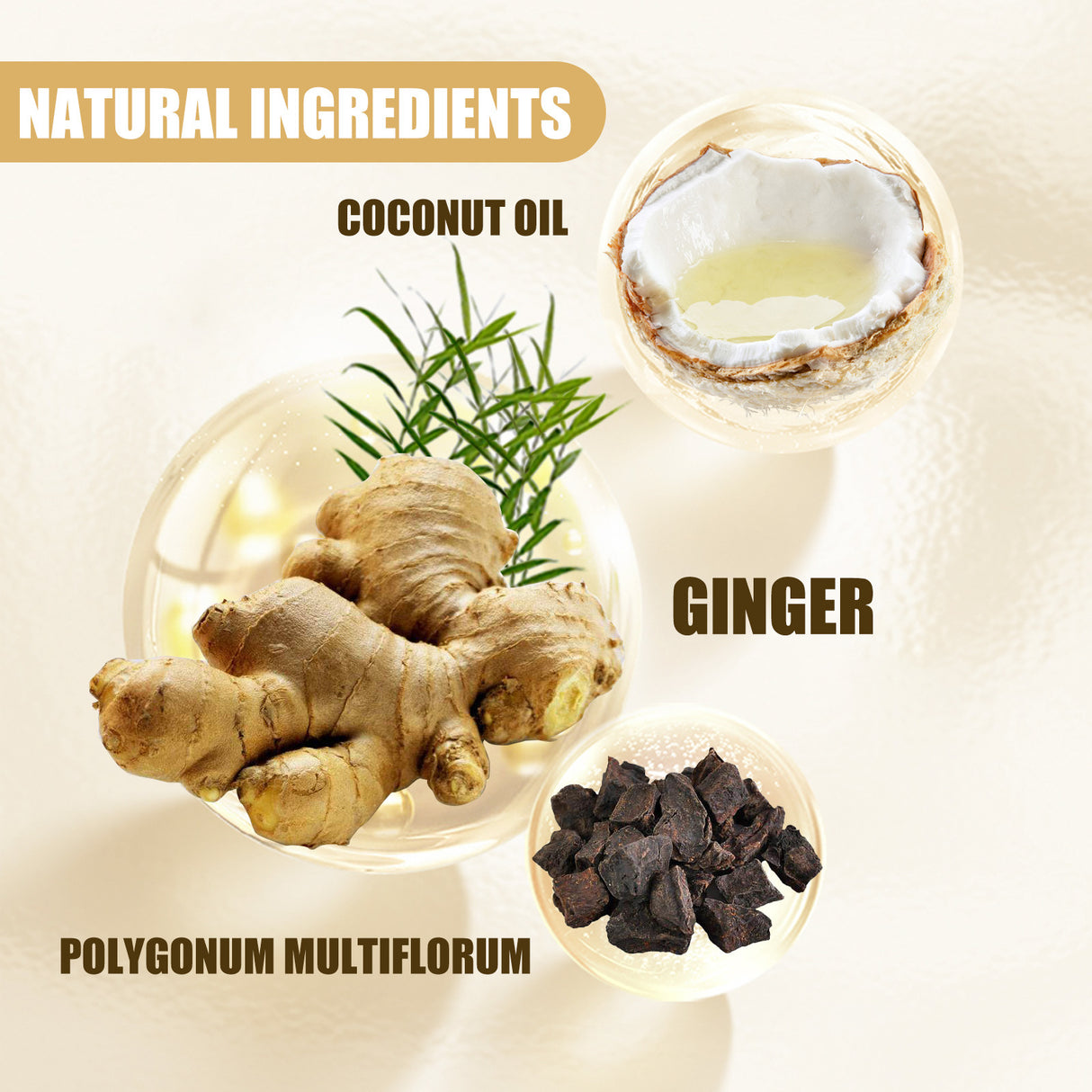 Ginger Juice Moisturizes Hair, Moisturizing And Repairing Hair Follicle Hair Strong Anti-Shampoos - V.I.P Digital Presence