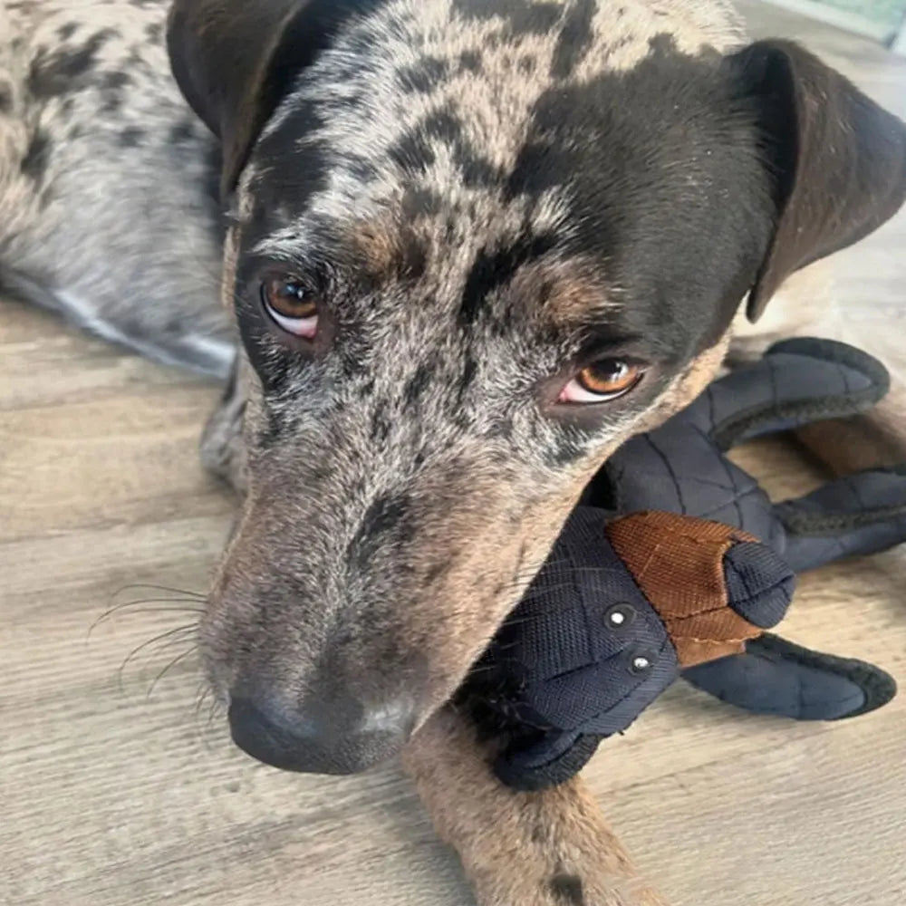 Mighty Bear Pet Soundmaking Toy Plush Interactive Dog Toy Grinding Cleaning Teeth Anti Bite Abreact Plaything Bear Pets Supplies - V.I.P Digital Presence