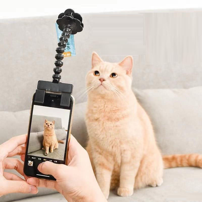 Pet Photography Teddy Camera Toy Phone Camera Stand Selfie Clip Supplies - V.I.P Digital Presence