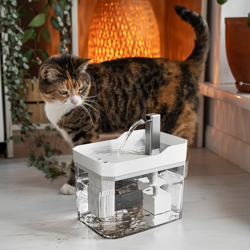 Automatic cat water fountain with filter, USB-powered, anti-dry & circular filtration. - V.I.P Digital Presence