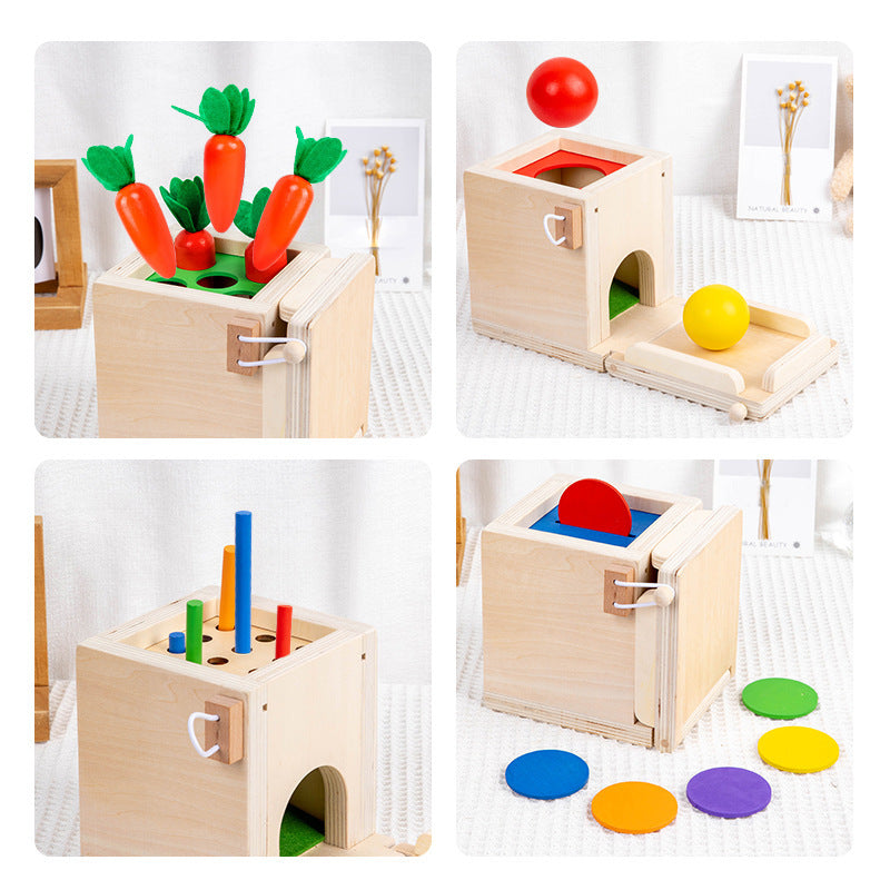 Montessori Four in One Coin Box Multi functional Stick Pulling Carrot Preschool Building Blocks Color Matching Intelligence Box Toy - V.I.P Digital Presence