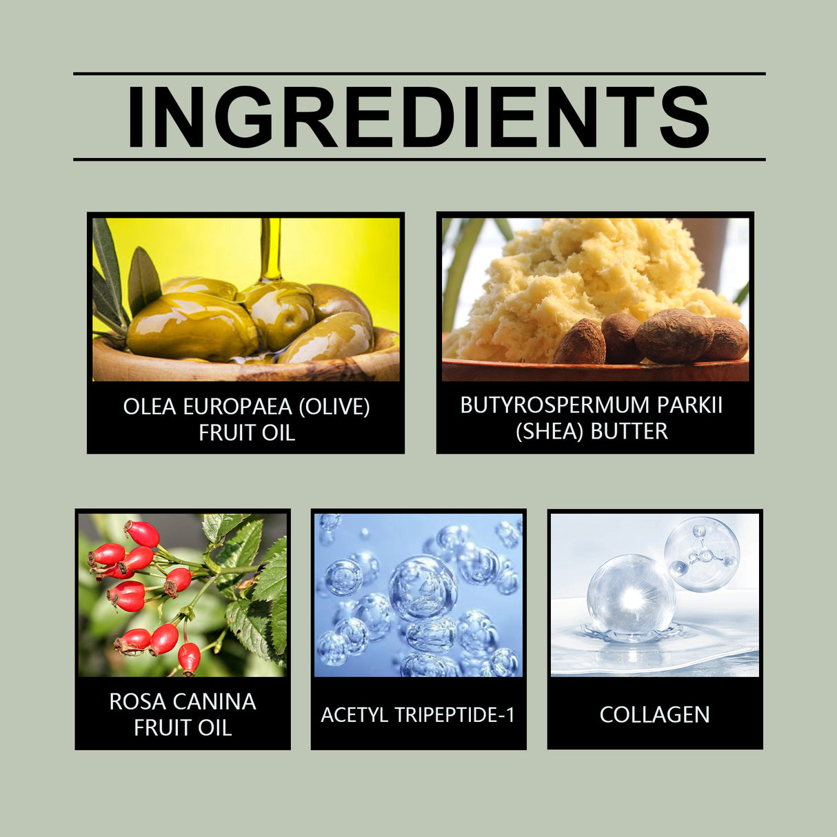 Nourishing And Firming Moisturizer Hydrates And Tightens Skin, Rejuvenates And Brightens Skin